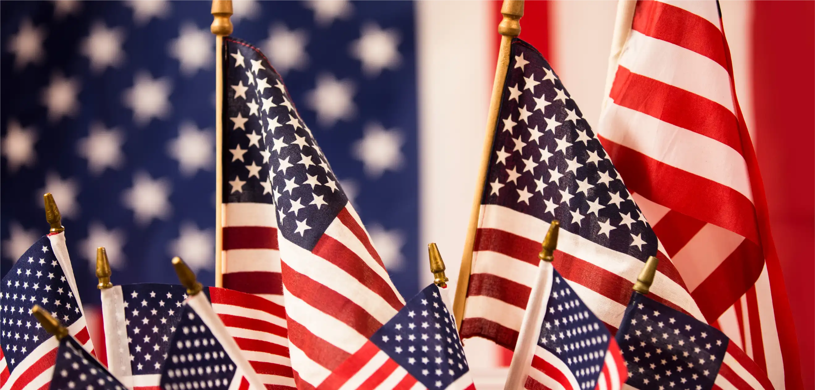 Blog | A Last-Minute Crafter’s Guide to 4th of July Printing