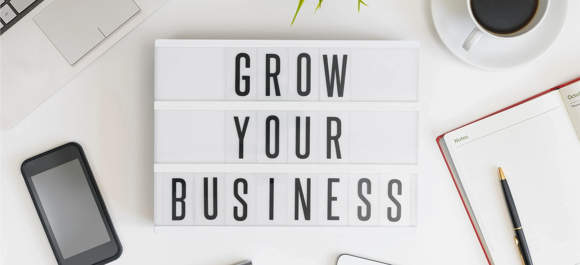 How to Grow Your Brand with the Designer Wholesale Program