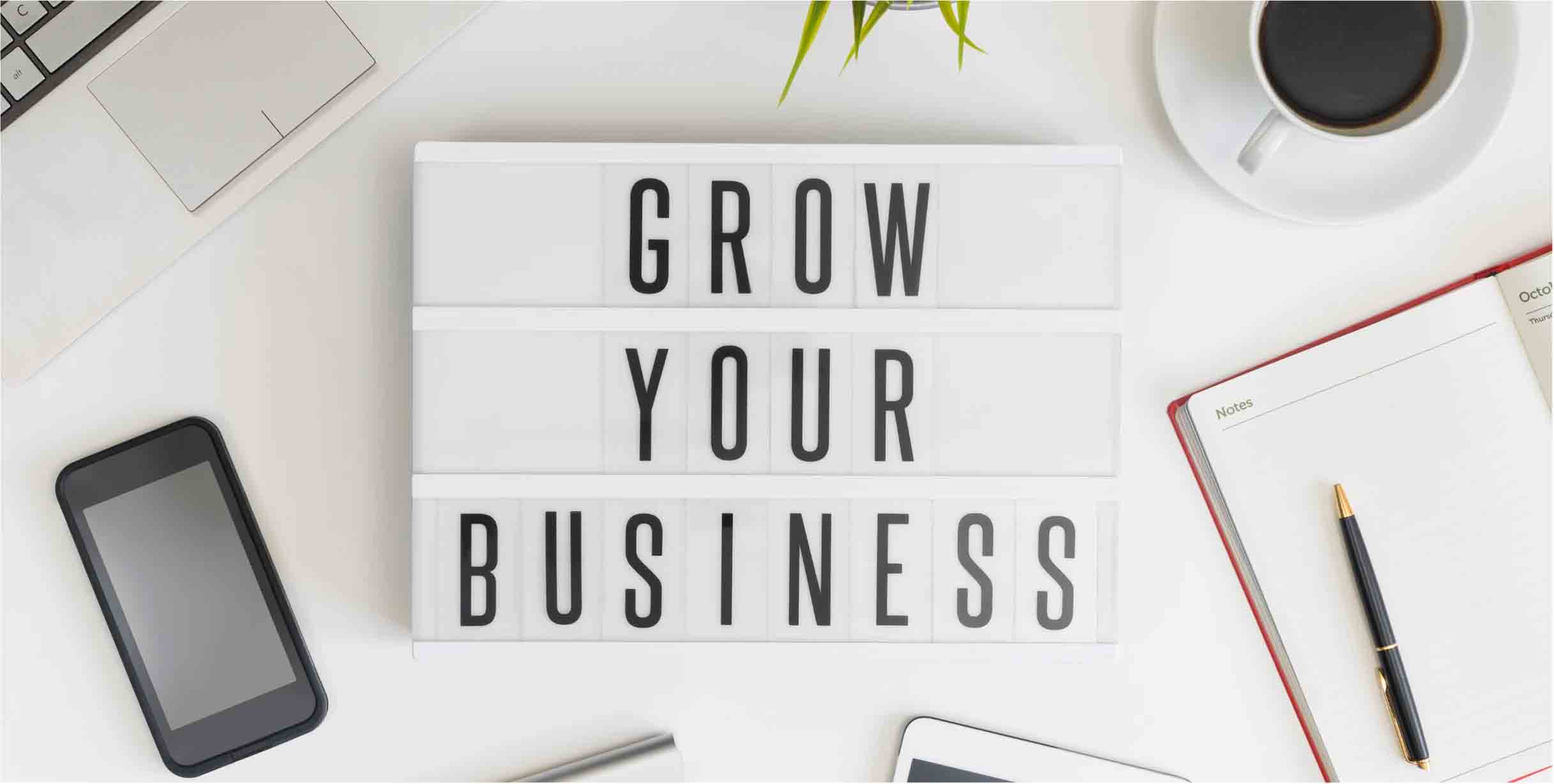 Blog | How to Grow Your Brand with the Designer Wholesale Program